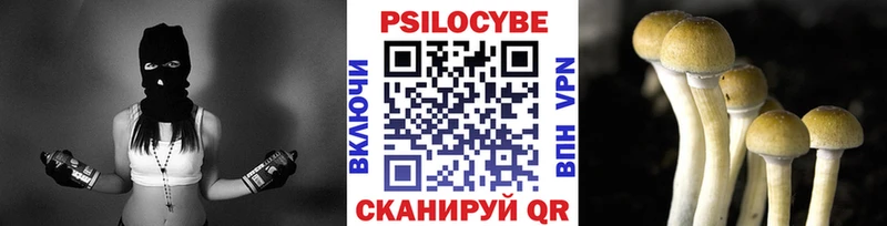 купить наркоту  Короча  Галлюциногенные грибы прущие грибы 